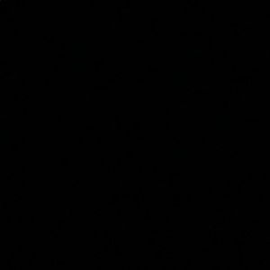 Meet your Posher, Dylan